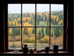 Фото Из Окна Квартиры Осенью