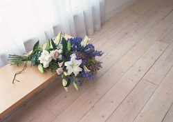 Фото цветов на полу в квартире