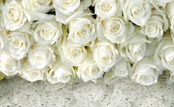 Белые Розы Фото Спальни