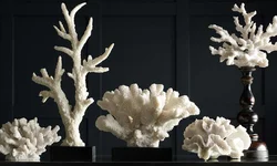 Кораллы Для Ванной Фото