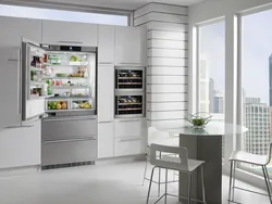 Фото разных холодильников на кухню