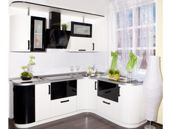 Dark kitchens with white facades photo