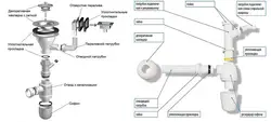 Устройство Сифона Для Раковины На Кухне В Разрезе Фото