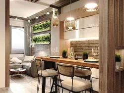 Eco kitchen living room design