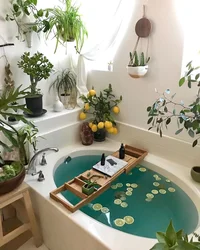 Ванна с растениями фото