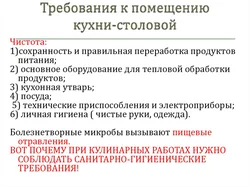 Санитарные требования к интерьеру кухни