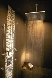 Ванная комната с тропическим душем фото