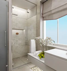 Дизайн ванной и туалета с душевой в доме с окном