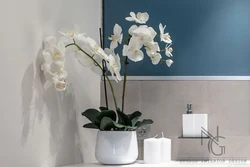 Искусственные цветы в ванной комнате фото