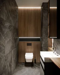 Дизайн Туалетов В Доме И Квартире