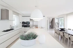 Белая Кухня В Комнате Фото