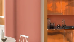 Kitchens with peach walls photo