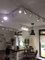 Трековые светильники на кухне в интерьере фото
