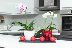 Кухня современный дизайн и цветы