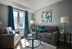 Серые шторы в интерьере гостиной с серой мебелью фото