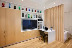 Шкафы дизайн в однокомнатной квартире фото