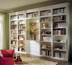 Дизайн гостиной с книжным шкафом фото