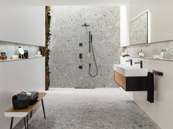 Interior with terrazzo bath