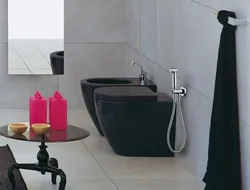Интерьер ванной с гигиеническим душем фото