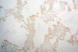 Штукатурка карта мира на кухне фото