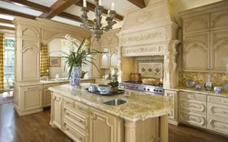 Rich kitchen design