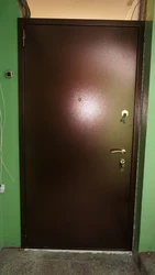 Установка Входных Металлических Дверей В Квартире Фото