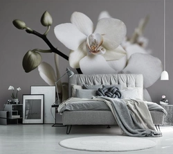 Орхидея В Интерьере Спальни