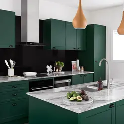 Kitchen interior black white green