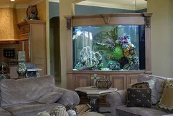 Телевизор и аквариум в гостиной фото