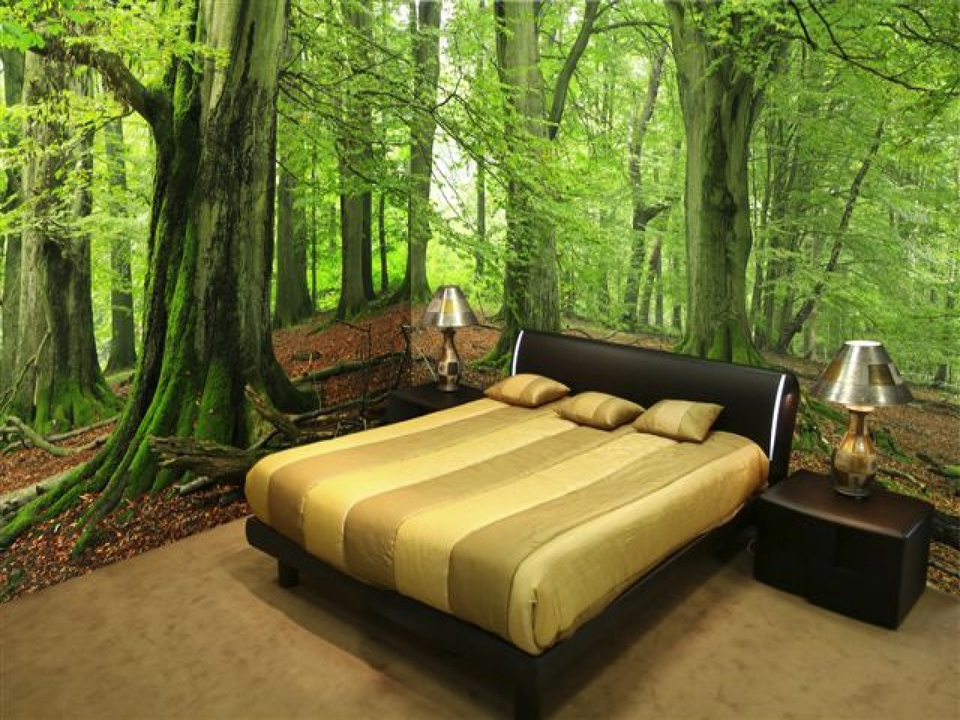 Фотообои 3д для спальни лес