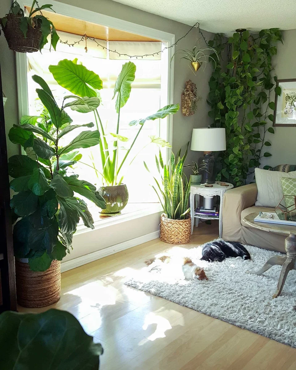 Интерьер комнаты с растениями