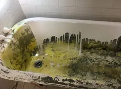 Self-Filling Bathtub Photo
