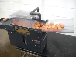 Hamam yumurtası şəkli