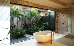Ванна пальма фото