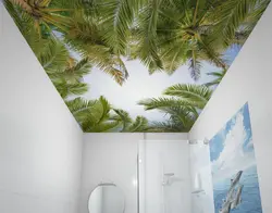 Bath palm photo