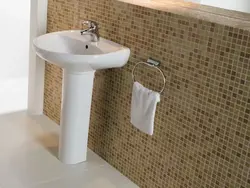 Bathtub With Pedestal Photo