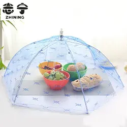 Umbrellas in the kitchen photo