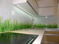 Kitchen with grass photo