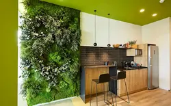 Kitchen with grass photo
