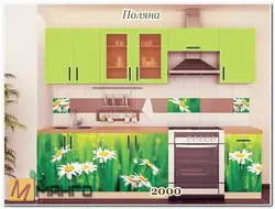 Kitchen with daisies photo