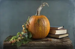 Photo Of Pumpkin In The Kitchen