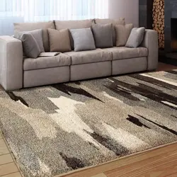 Carpet In A Beige Living Room Photo