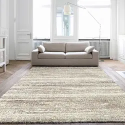 Carpet in a beige living room photo