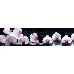 Oshxona orkide uchun apron fotosurati