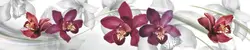 Apron for kitchen orchids photo