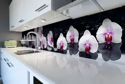 Mətbəx orkide üçün önlük fotoşəkili