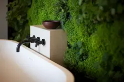 Stabilized Moss In The Bathroom Photo