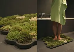 Stabilized moss in the bathroom photo