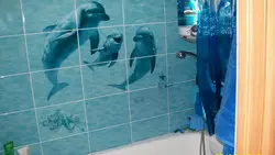Ванна бөлмесінің панельдері дельфиндер фотосы