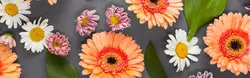 Kitchen wallpaper gerbera photo